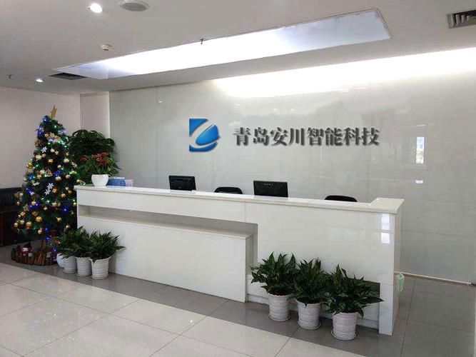技术之光 刘蒙蒙与她的技术咨询服务之道
